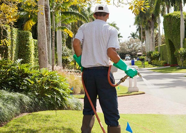About Rougemont NC Pest Control